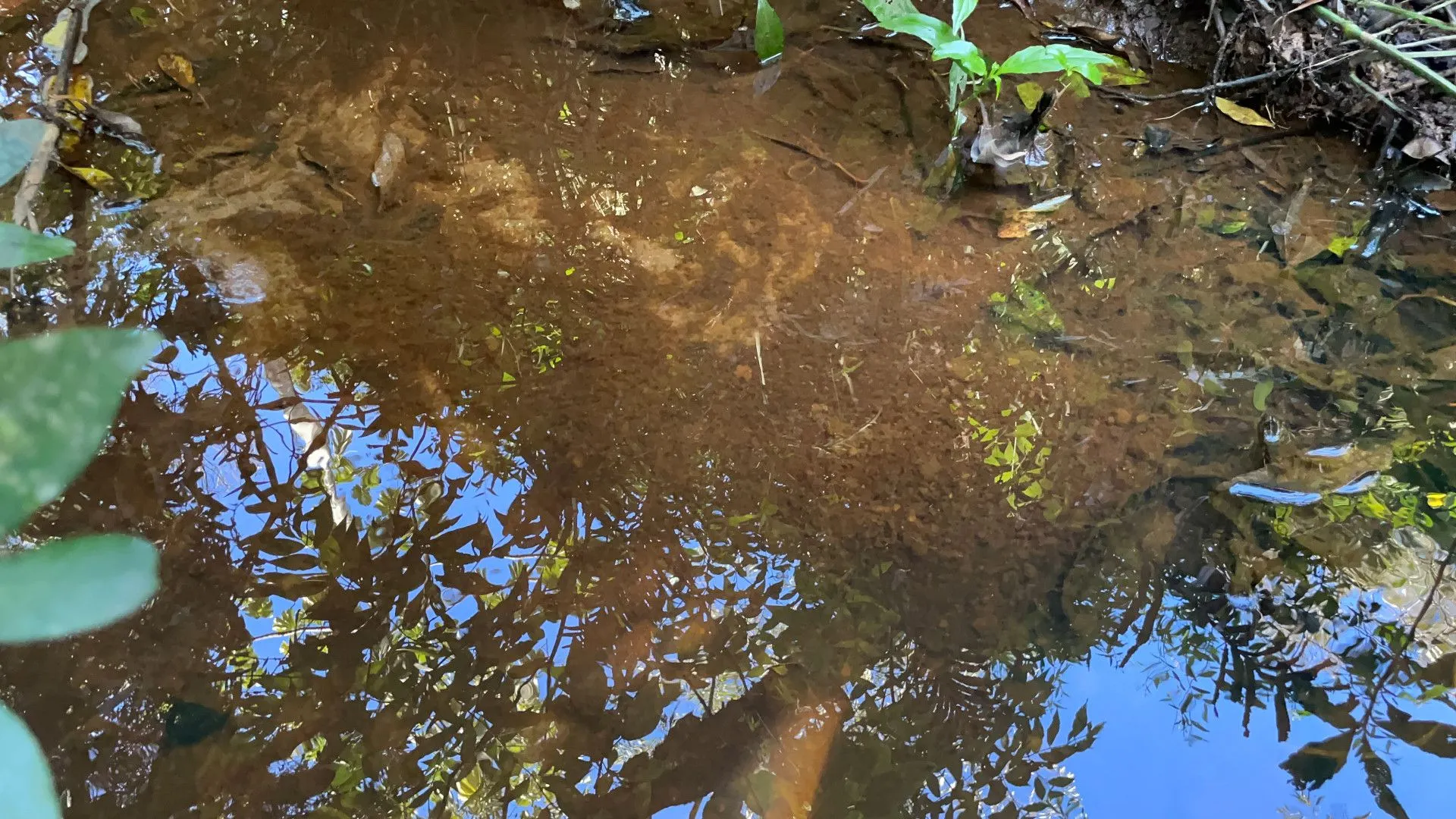 Chácara à venda de 6.800 m² em Santo Antônio da Patrulha, RS, Brasil