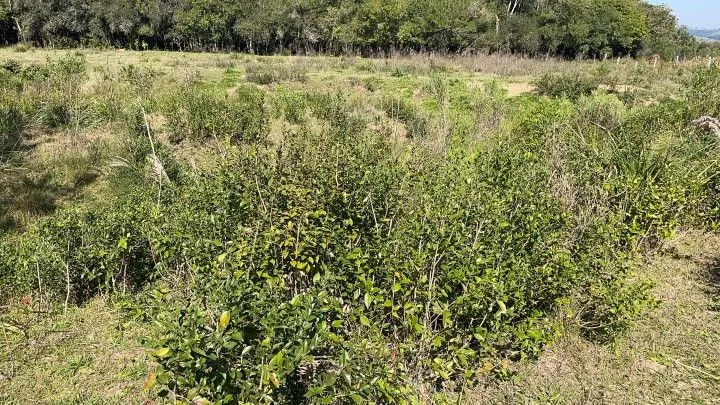 Chácara à venda de 6.800 m² em Santo Antônio da Patrulha, RS, Brasil