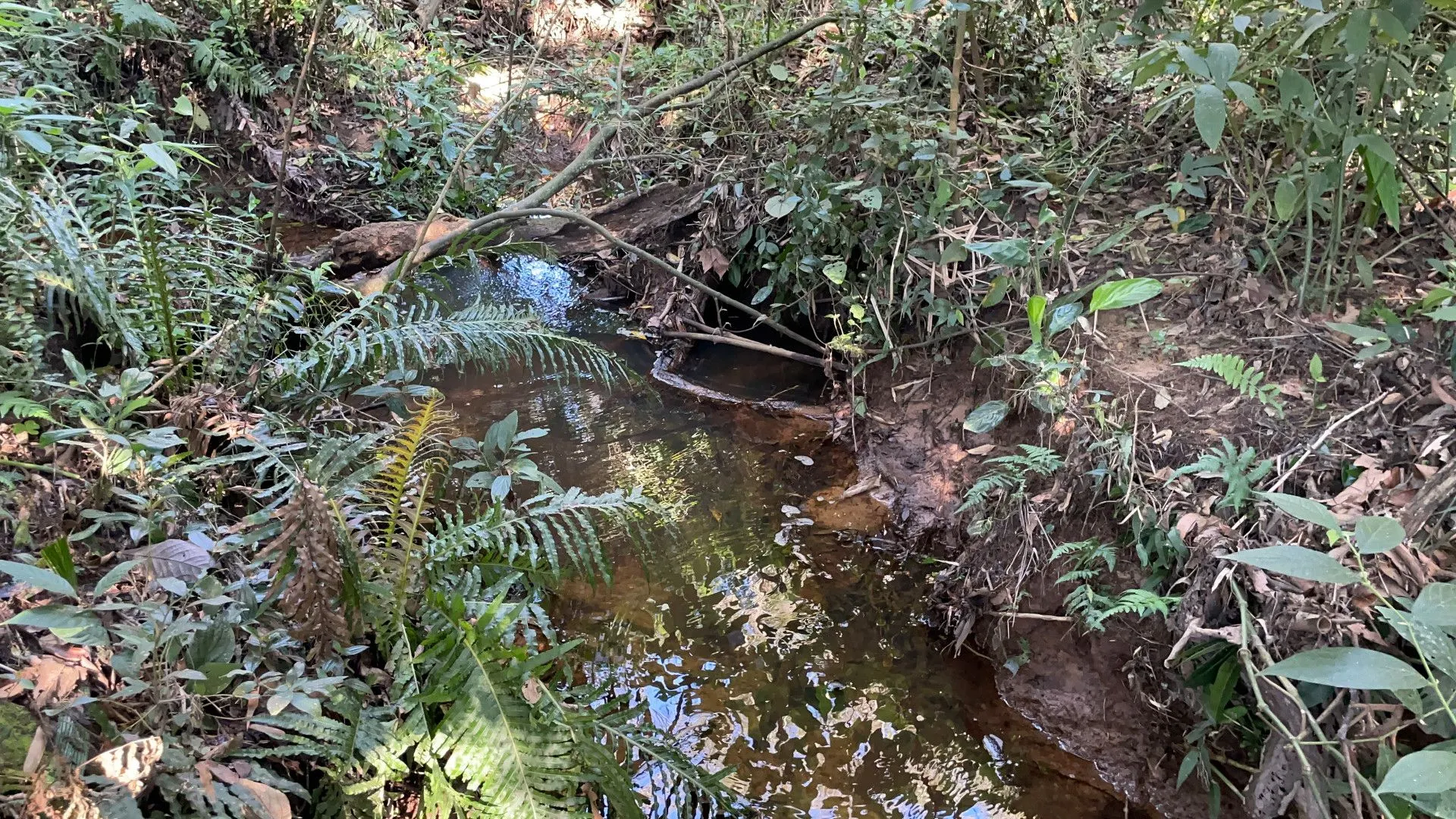 Chácara à venda de 6.800 m² em Santo Antônio da Patrulha, RS, Brasil