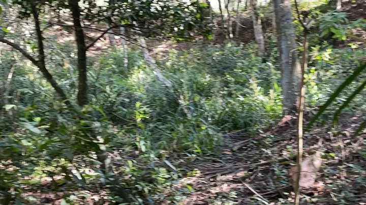 Chácara à venda de 6.800 m² em Santo Antônio da Patrulha, RS, Brasil