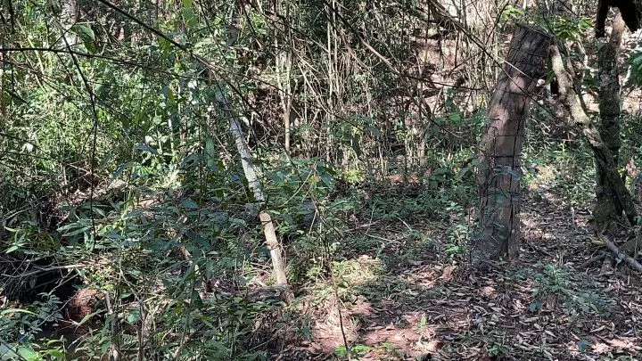 Chácara à venda de 6.800 m² em Santo Antônio da Patrulha, RS, Brasil