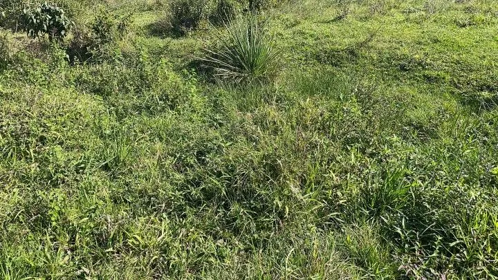 Chácara à venda de 6.800 m² em Santo Antônio da Patrulha, RS, Brasil
