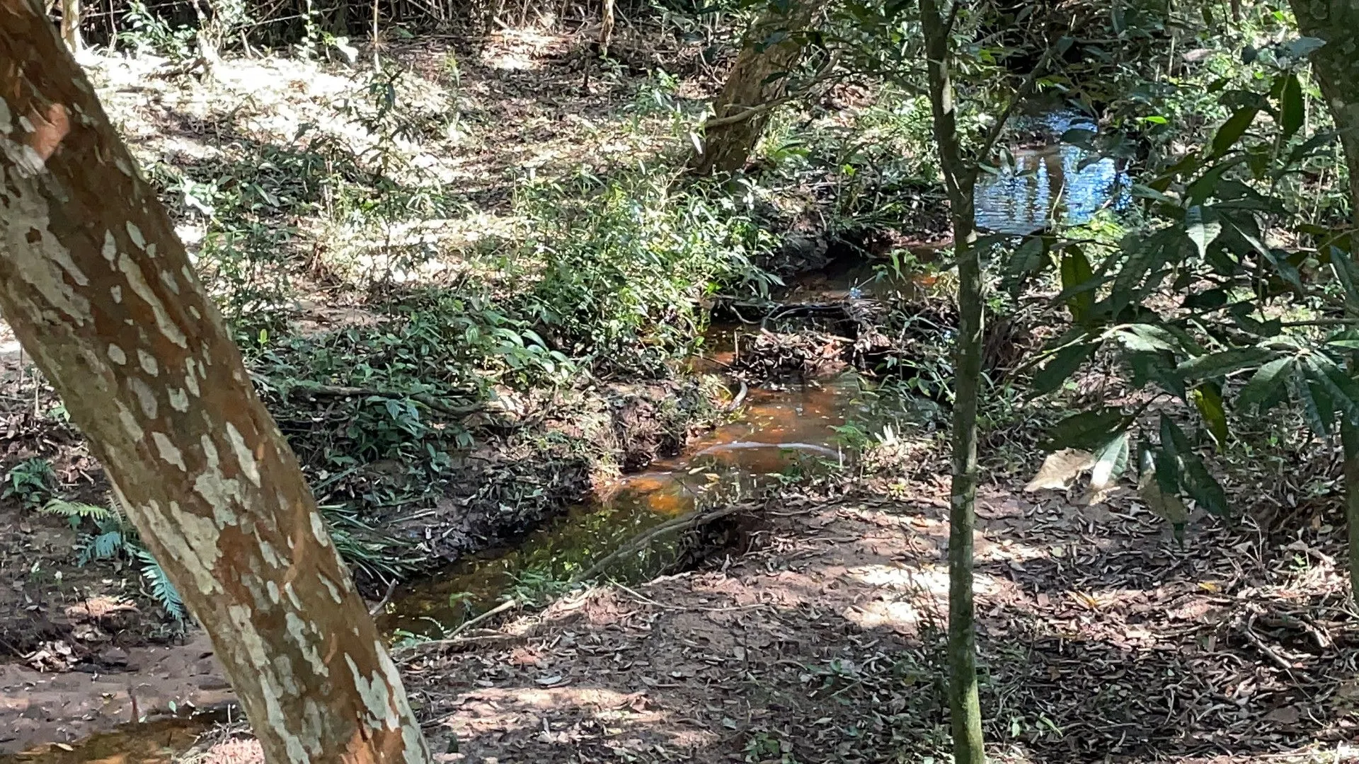 Chácara à venda de 6.800 m² em Santo Antônio da Patrulha, RS, Brasil