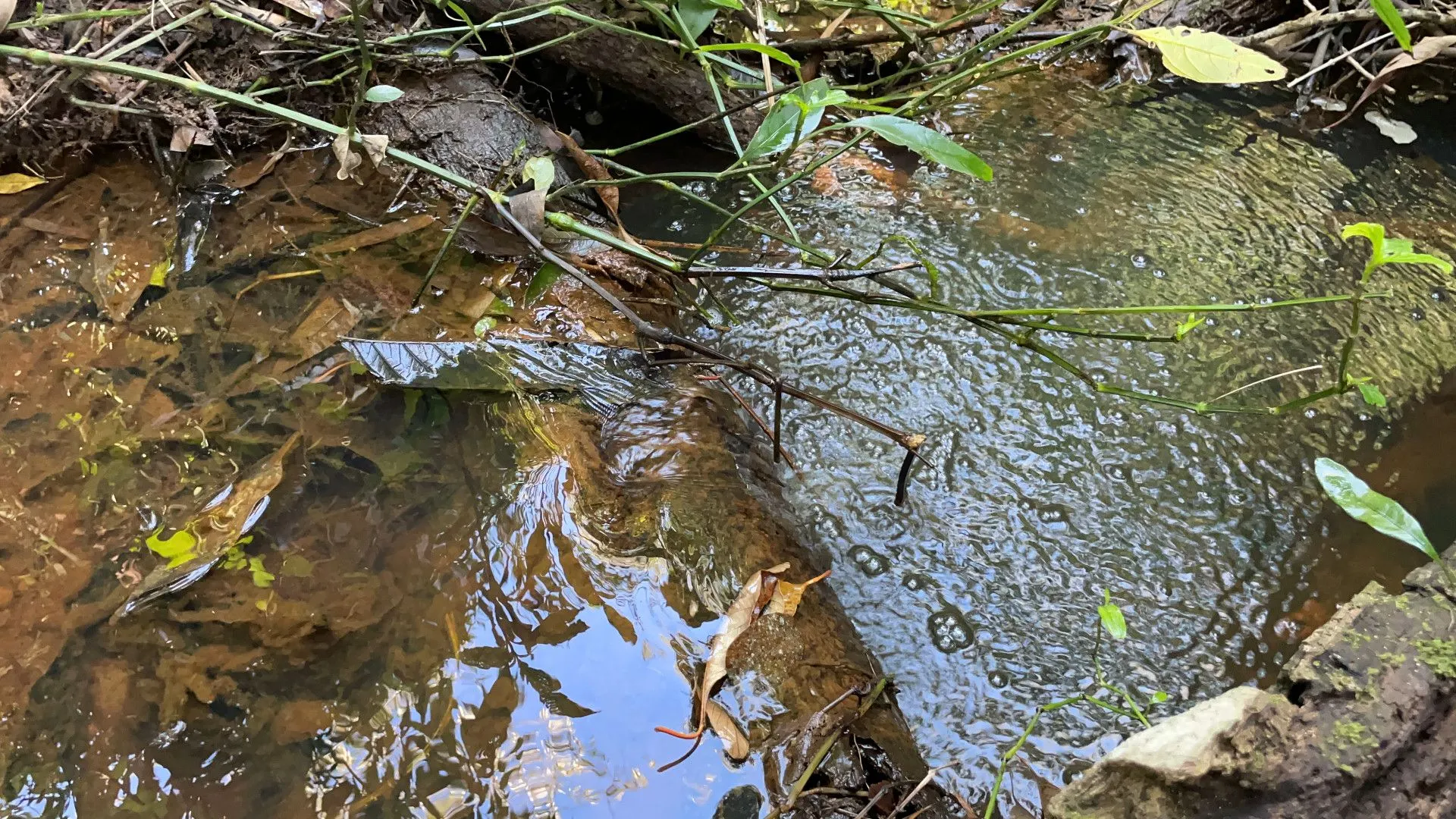 Chácara à venda de 6.800 m² em Santo Antônio da Patrulha, RS, Brasil