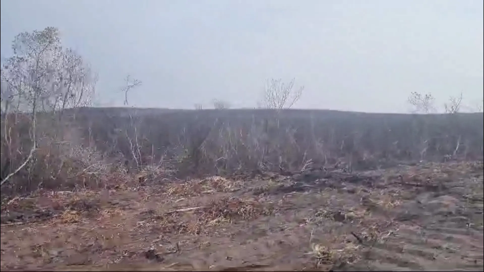 Fazenda à venda de 2.853 ha em Reserva do Cabaçal, MT, Brasil