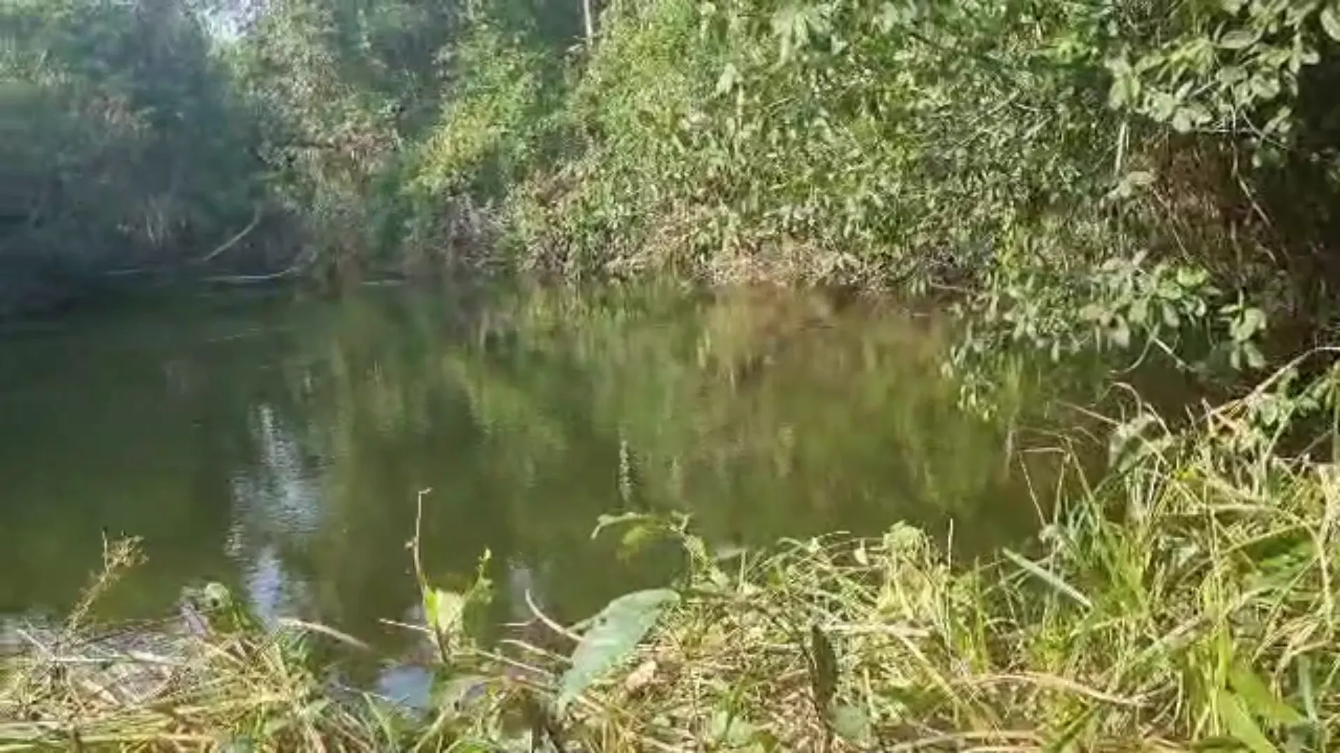 Fazenda à venda de 2.853 ha em Reserva do Cabaçal, MT, Brasil