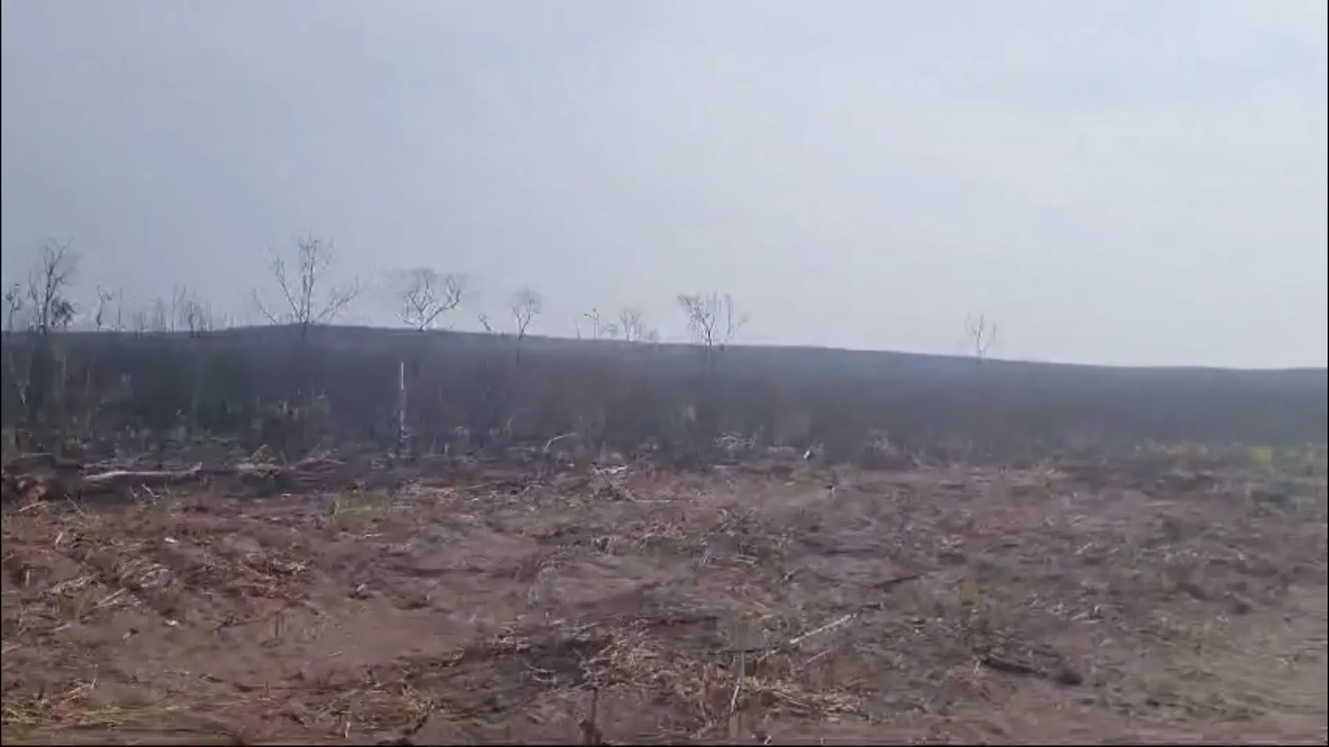 Fazenda à venda de 2.853 ha em Reserva do Cabaçal, MT, Brasil