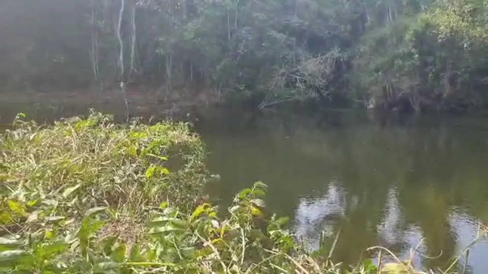 Fazenda à venda de 2.853 ha em Reserva do Cabaçal, MT, Brasil
