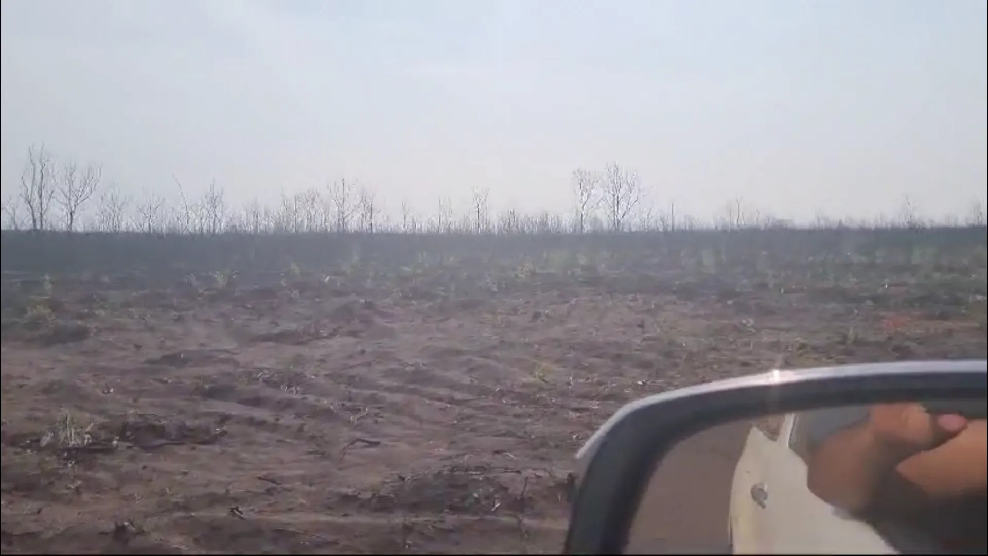 Fazenda à venda de 2.853 ha em Reserva do Cabaçal, MT, Brasil