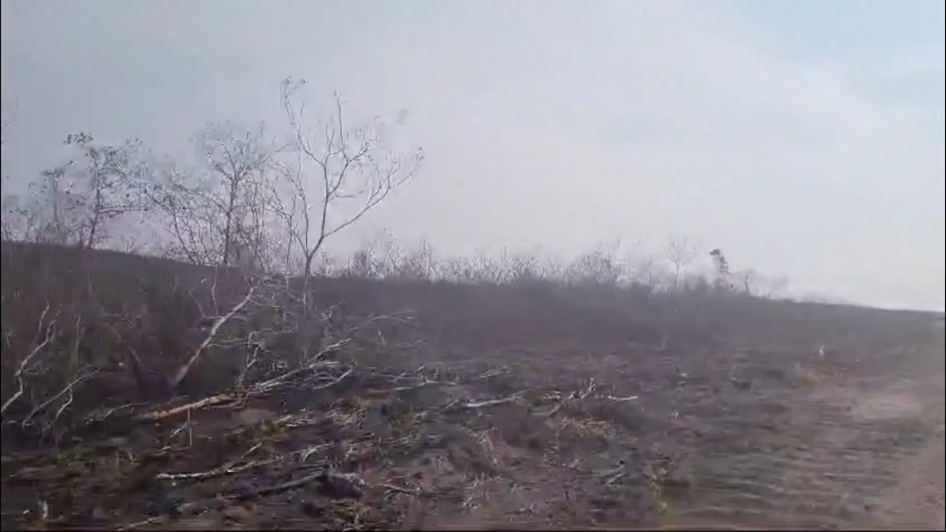 Fazenda à venda de 2.853 ha em Reserva do Cabaçal, MT, Brasil