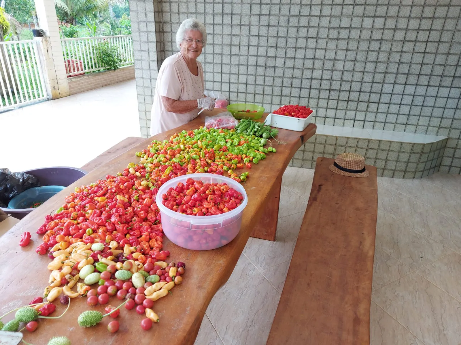 Farm for sale of 420 acres in Valença, BA, Brazil