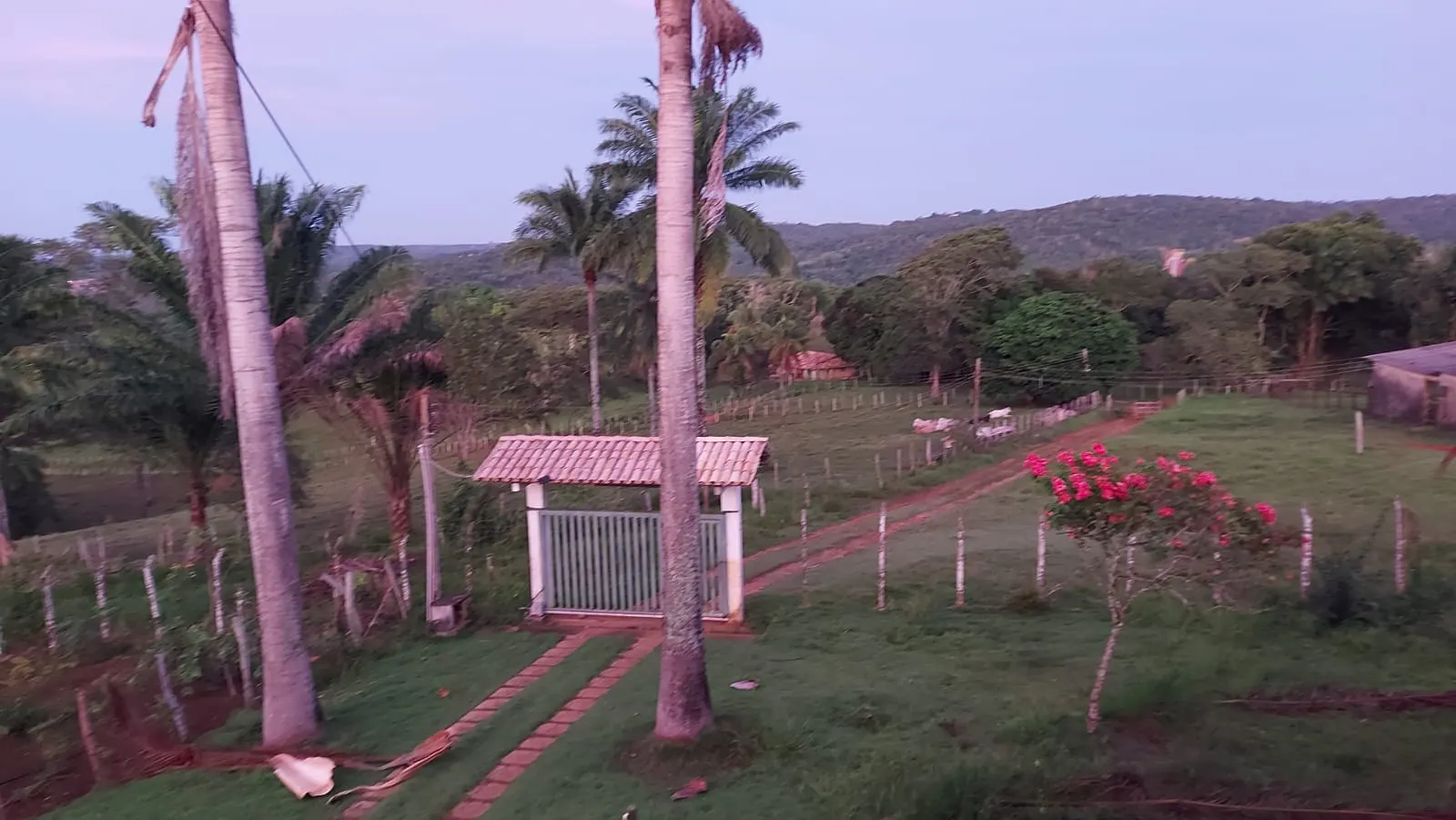 Farm for sale of 420 acres in Valença, BA, Brazil