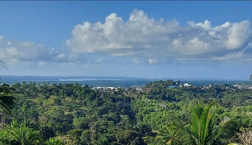 Farm for sale of 420 acres in Valença, BA, Brazil