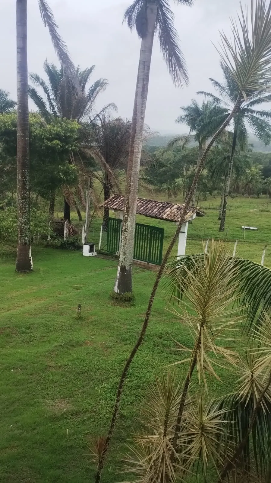 Farm for sale of 420 acres in Valença, BA, Brazil