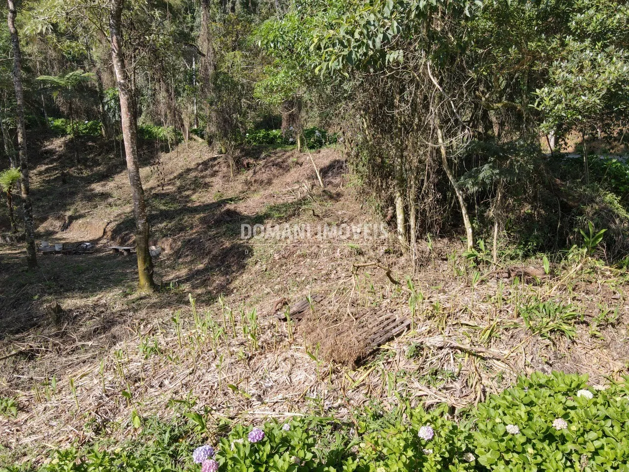 Plot for sale of 1,055 m² in Campos do Jordão, SP, Brazil