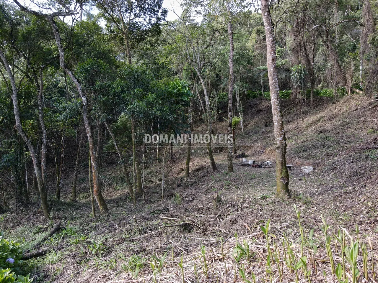 Plot for sale of 1,055 m² in Campos do Jordão, SP, Brazil