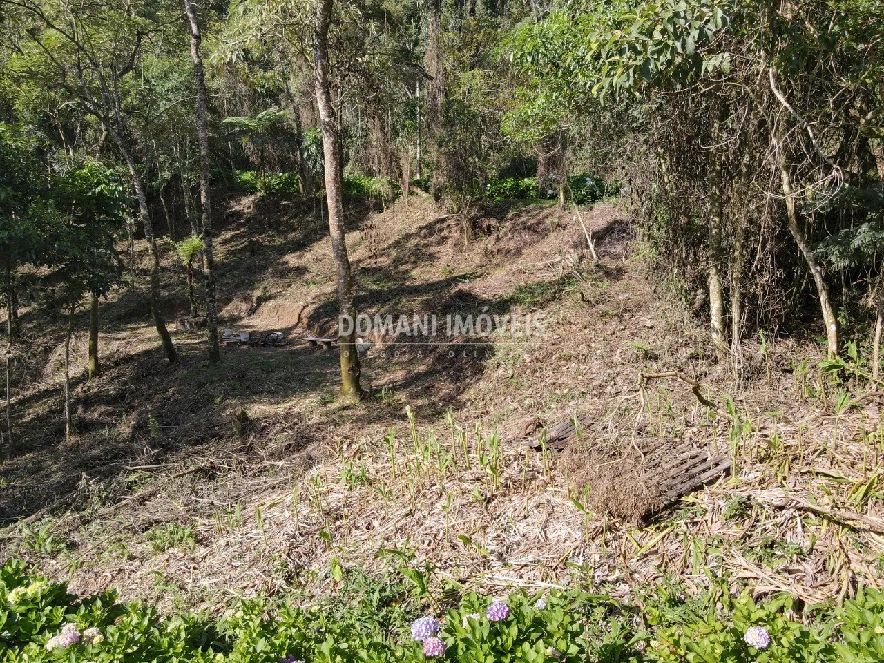 Plot for sale of 1,055 m² in Campos do Jordão, SP, Brazil