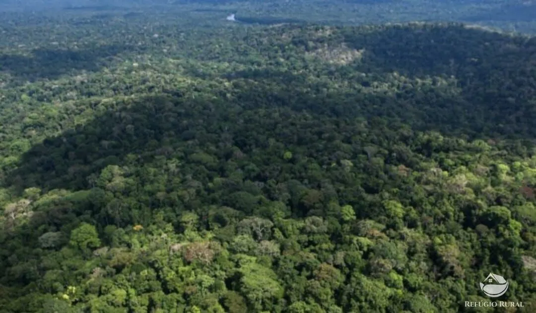 Farm for sale of 28,615 acres in Pauini, AM, Brazil