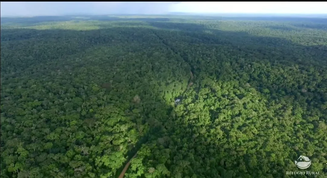 Farm for sale of 28,615 acres in Pauini, AM, Brazil