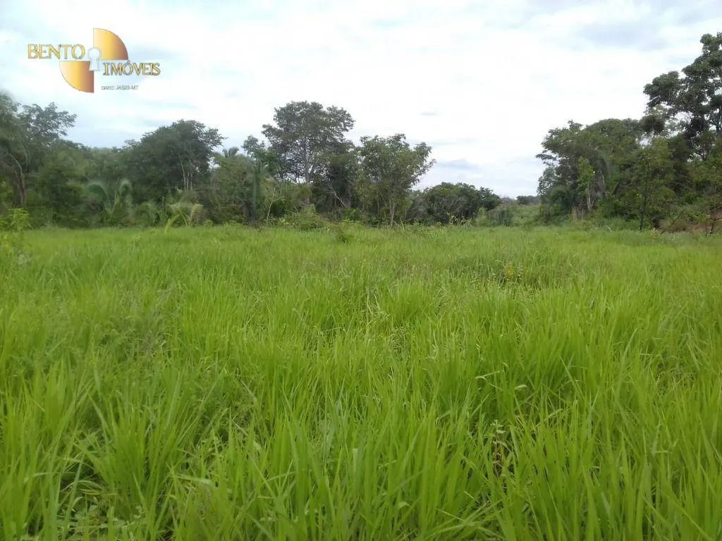 Fazenda à venda de 984 ha em Guiratinga, MT, Brasil