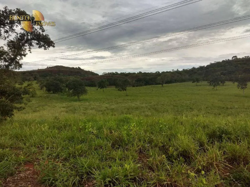 Fazenda à venda de 984 ha em Guiratinga, MT, Brasil