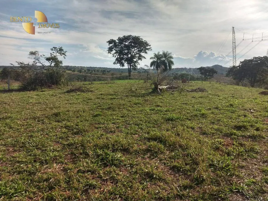Fazenda à venda de 984 ha em Guiratinga, MT, Brasil