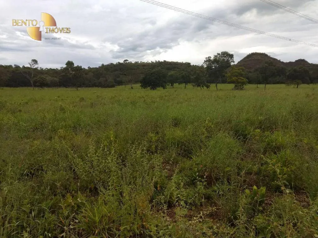 Fazenda à venda de 984 ha em Guiratinga, MT, Brasil