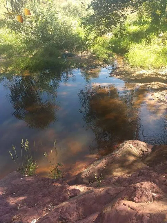 Fazenda à venda de 984 ha em Guiratinga, MT, Brasil