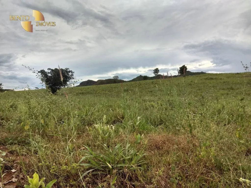 Fazenda à venda de 984 ha em Guiratinga, MT, Brasil
