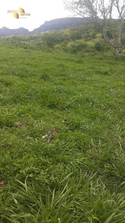 Fazenda à venda de 984 ha em Guiratinga, MT, Brasil