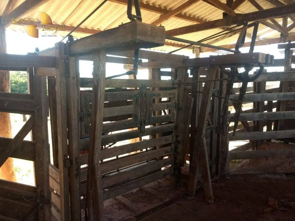 Fazenda à venda de 984 ha em Guiratinga, MT, Brasil