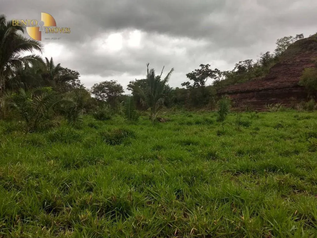 Fazenda à venda de 984 ha em Guiratinga, MT, Brasil