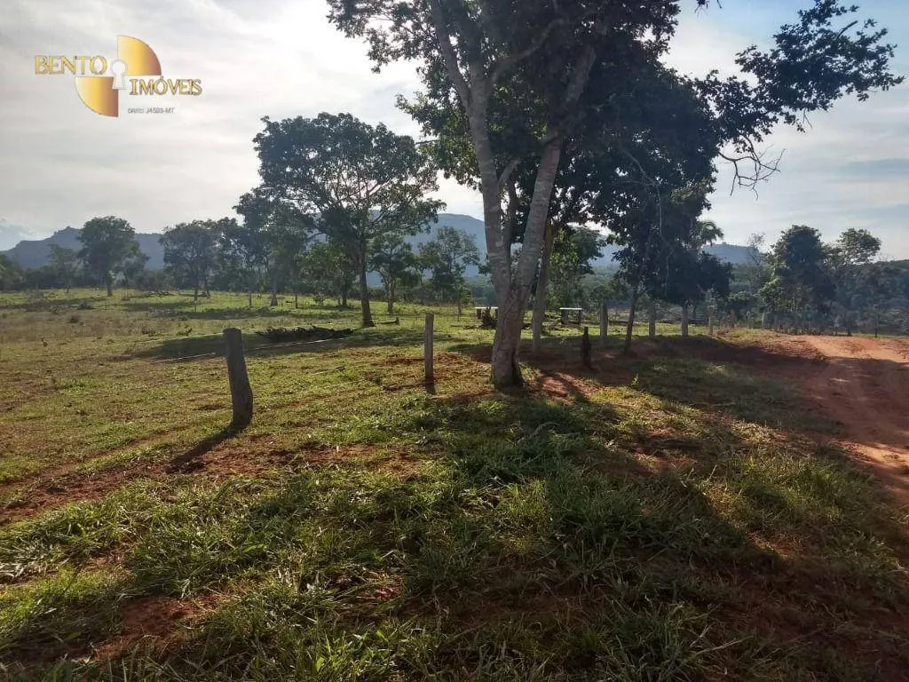 Fazenda à venda de 984 ha em Guiratinga, MT, Brasil