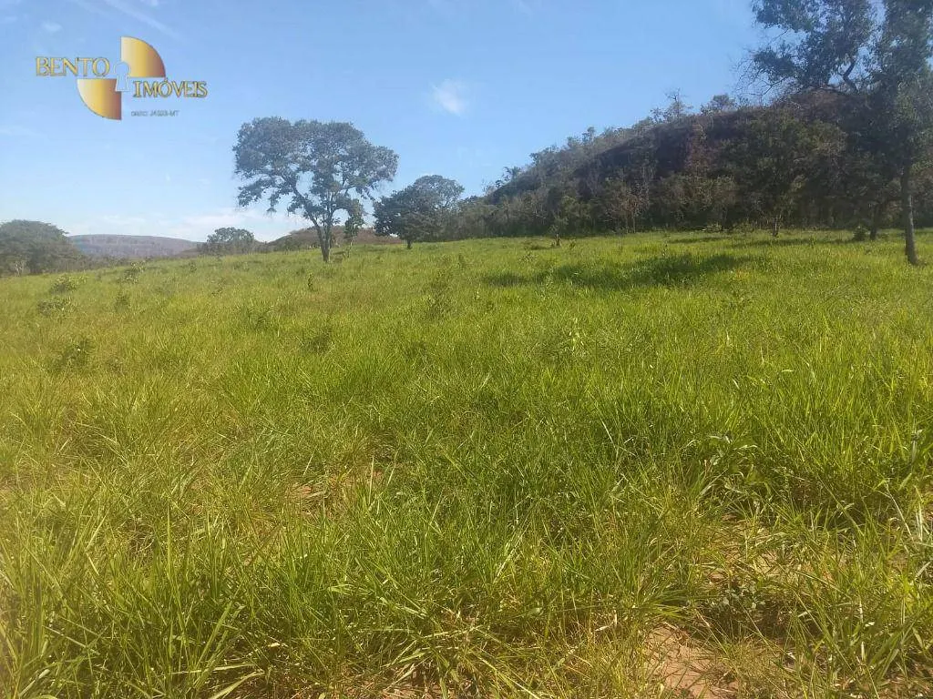 Fazenda à venda de 984 ha em Guiratinga, MT, Brasil