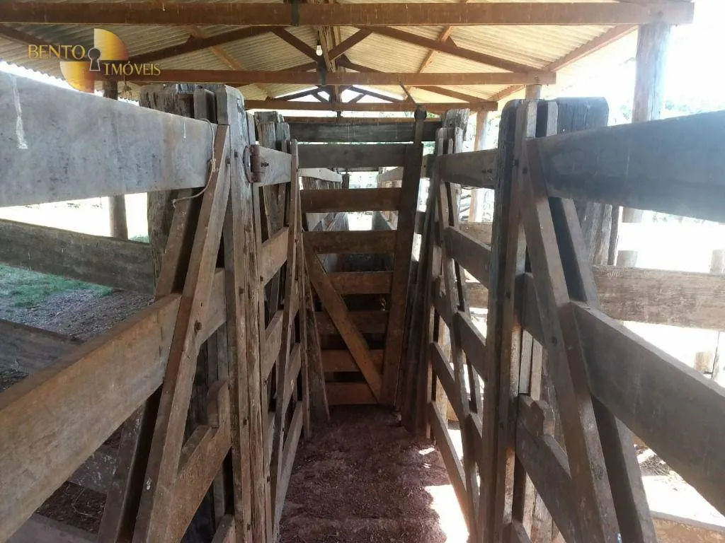 Fazenda à venda de 984 ha em Guiratinga, MT, Brasil