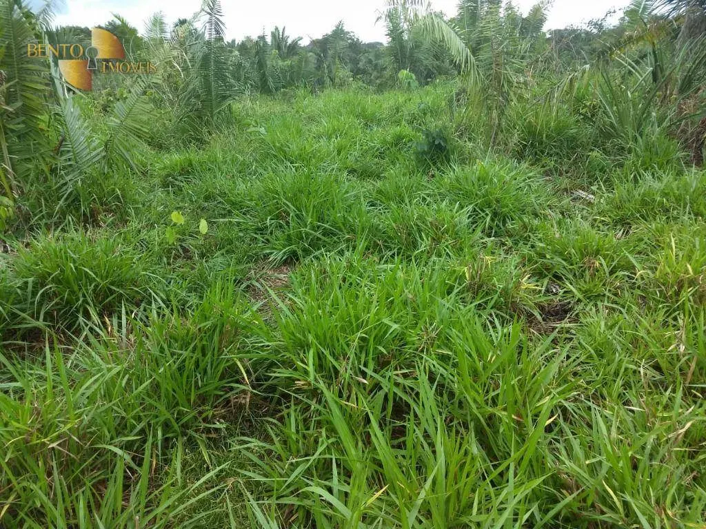 Fazenda à venda de 984 ha em Guiratinga, MT, Brasil