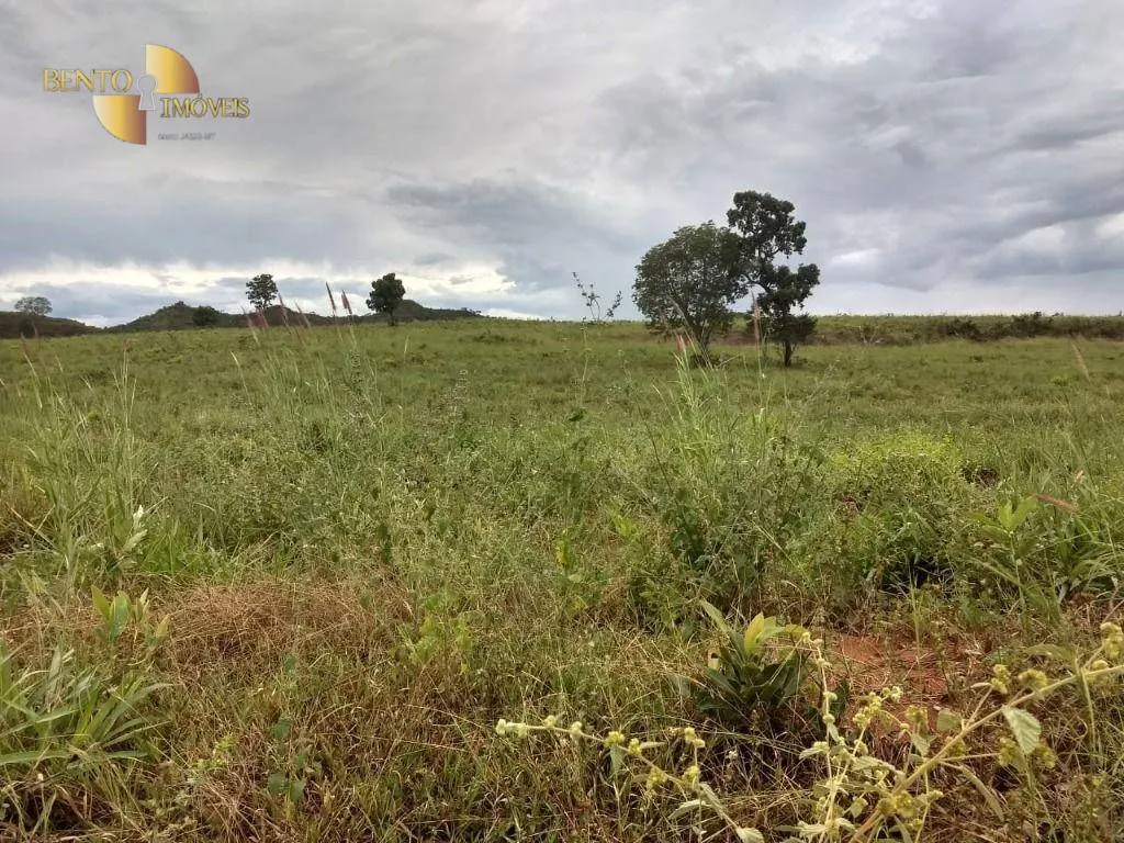Fazenda à venda de 984 ha em Guiratinga, MT, Brasil