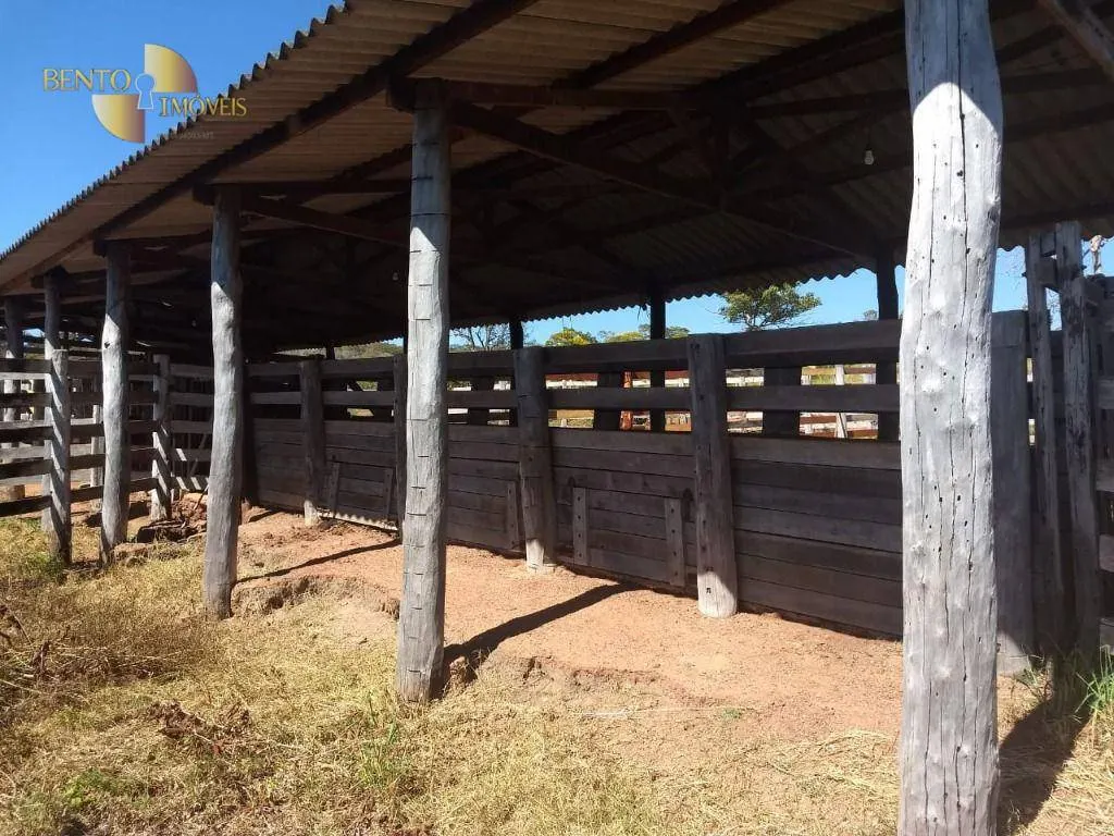 Fazenda à venda de 984 ha em Guiratinga, MT, Brasil