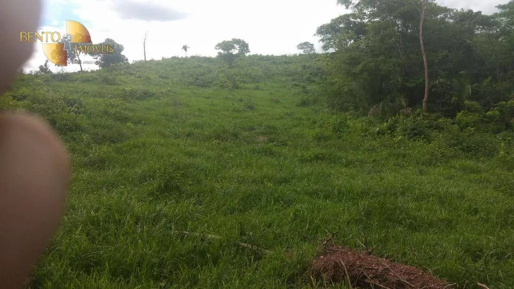 Fazenda à venda de 984 ha em Guiratinga, MT, Brasil