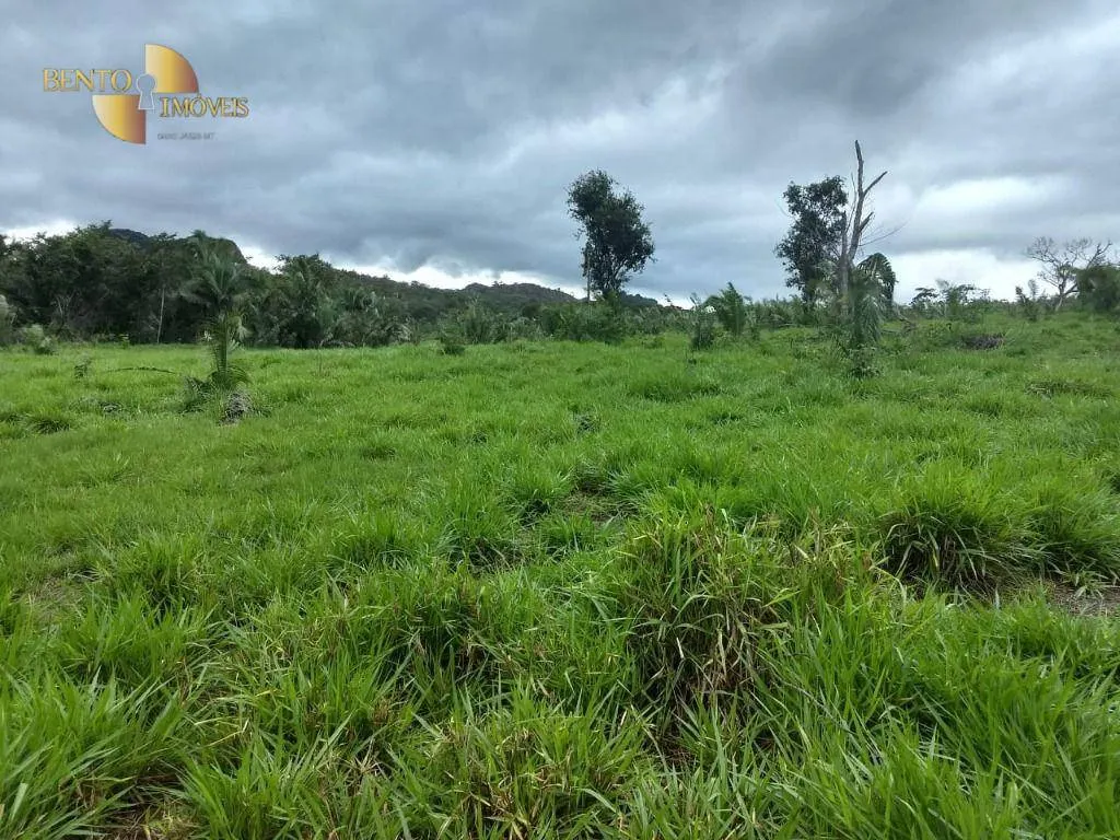 Fazenda à venda de 984 ha em Guiratinga, MT, Brasil