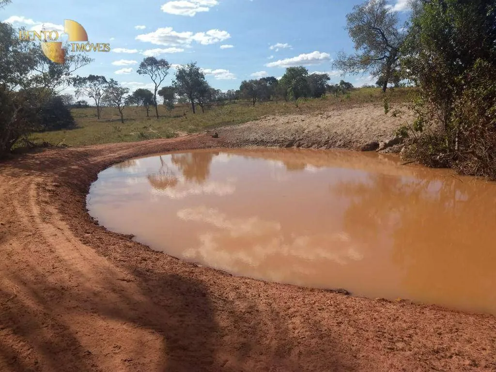 Fazenda à venda de 984 ha em Guiratinga, MT, Brasil