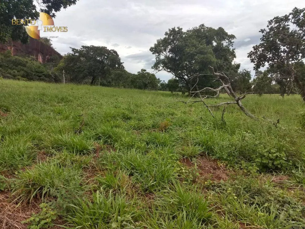 Fazenda à venda de 984 ha em Guiratinga, MT, Brasil