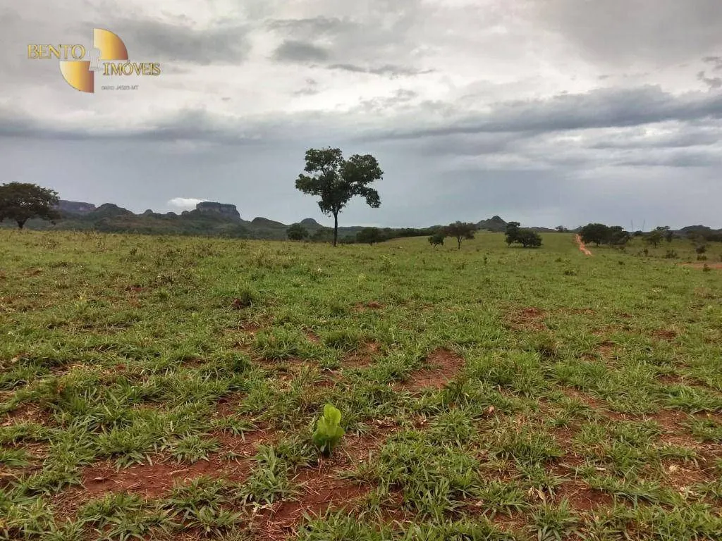Fazenda à venda de 984 ha em Guiratinga, MT, Brasil