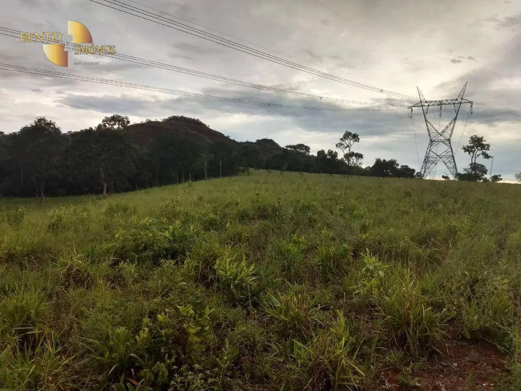 Fazenda à venda de 984 ha em Guiratinga, MT, Brasil