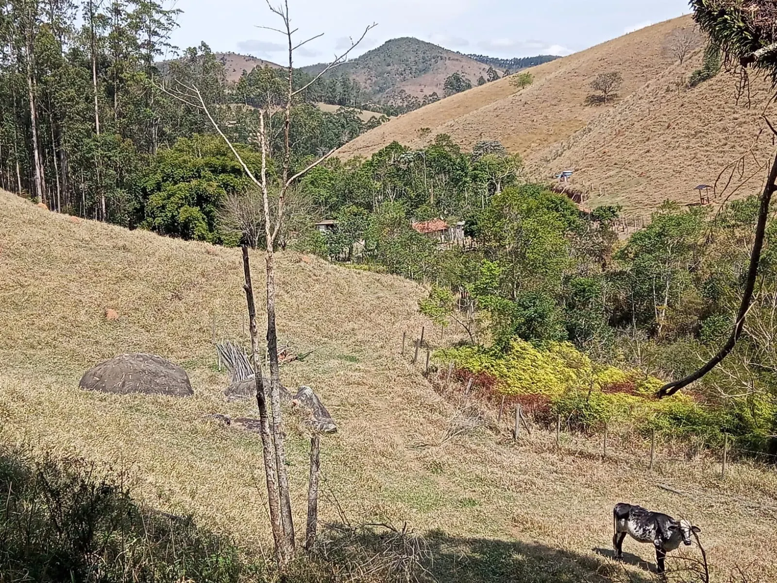 Sítio à venda de 10 ha em Paraibuna, SP, Brasil
