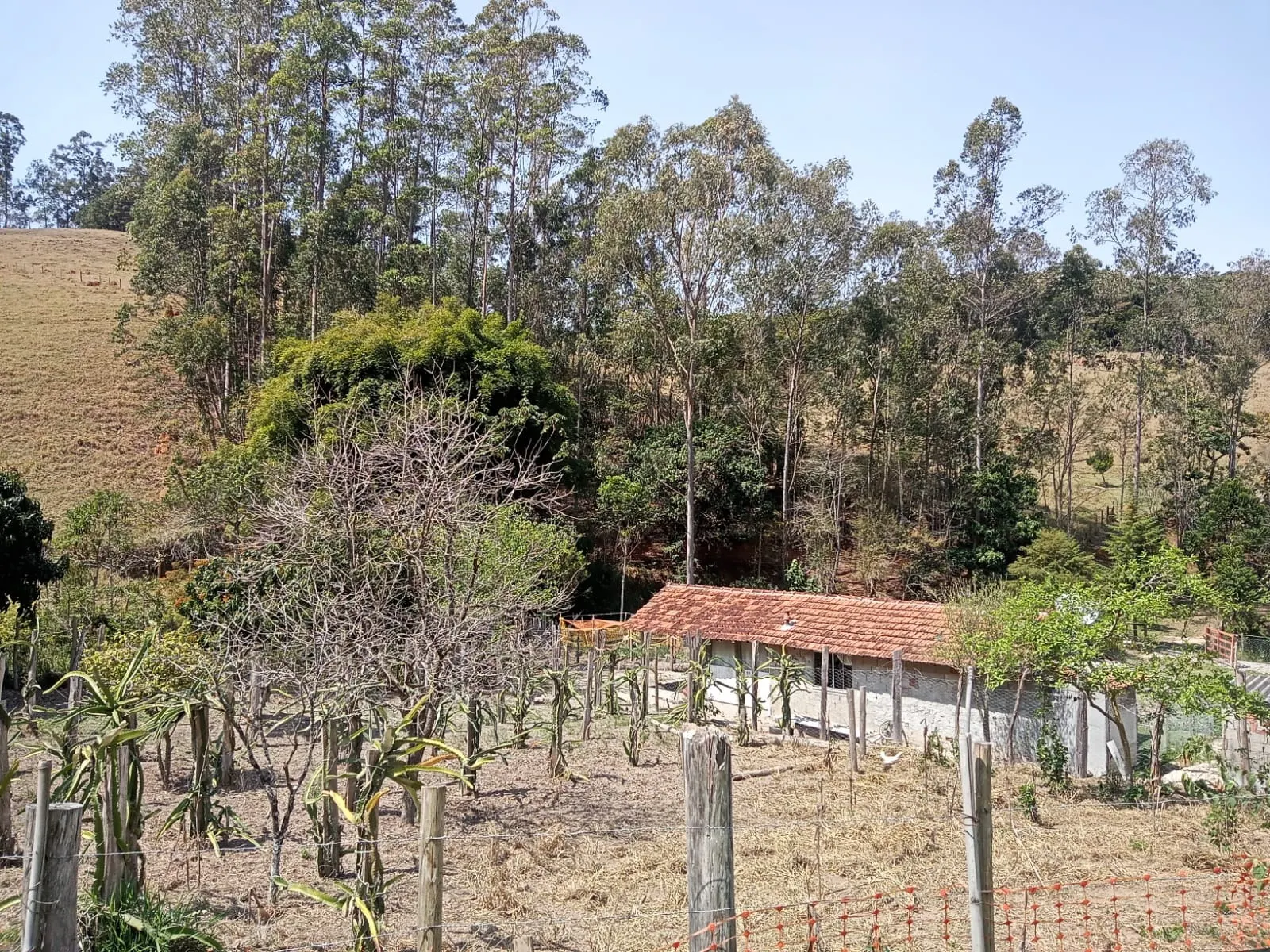 Sítio à venda de 10 ha em Paraibuna, SP, Brasil