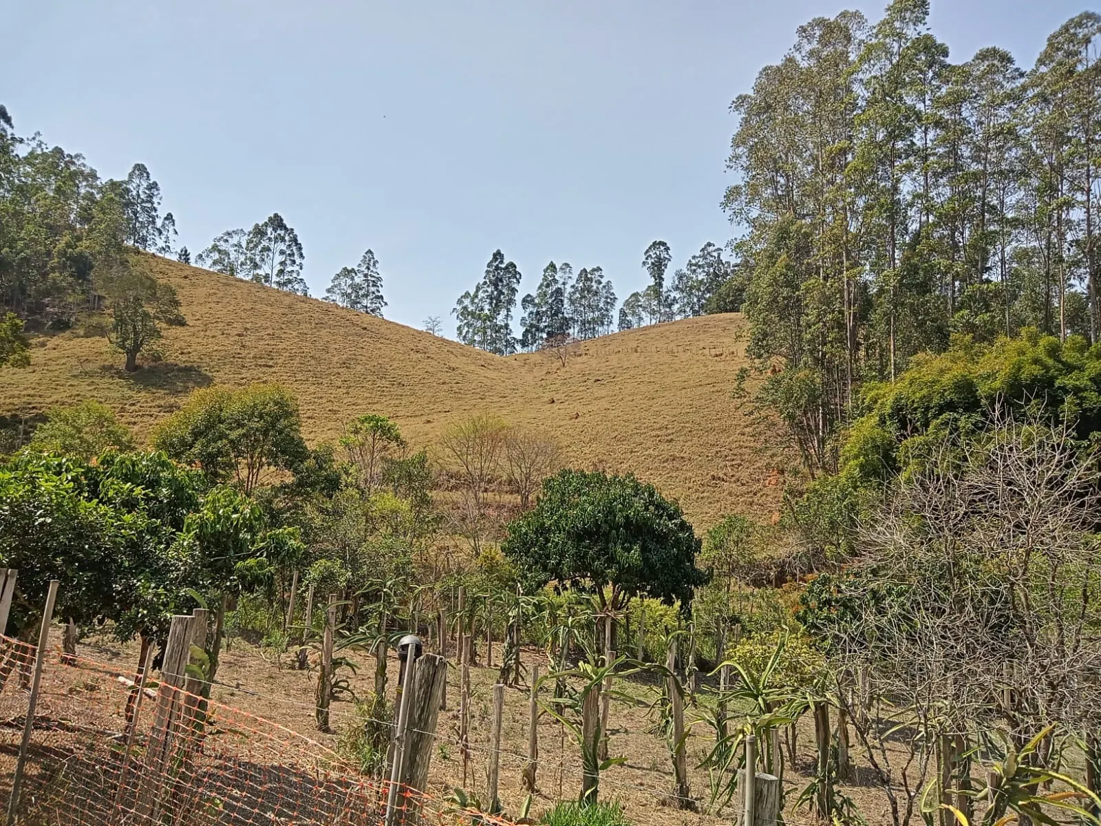 Sítio à venda de 10 ha em Paraibuna, SP, Brasil