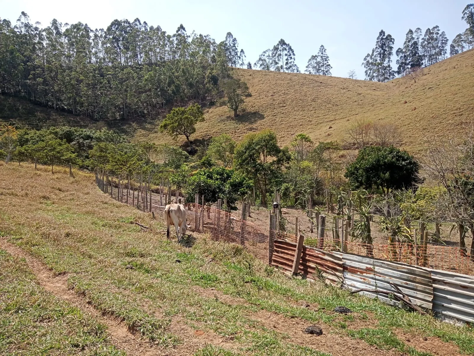 Sítio à venda de 10 ha em Paraibuna, SP, Brasil