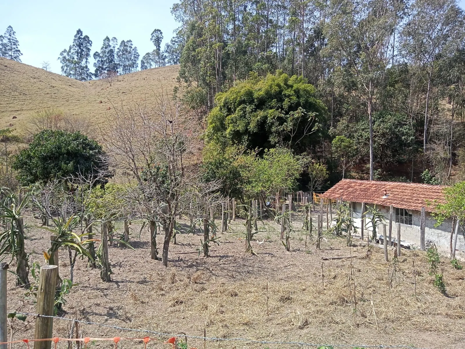 Sítio à venda de 10 ha em Paraibuna, SP, Brasil