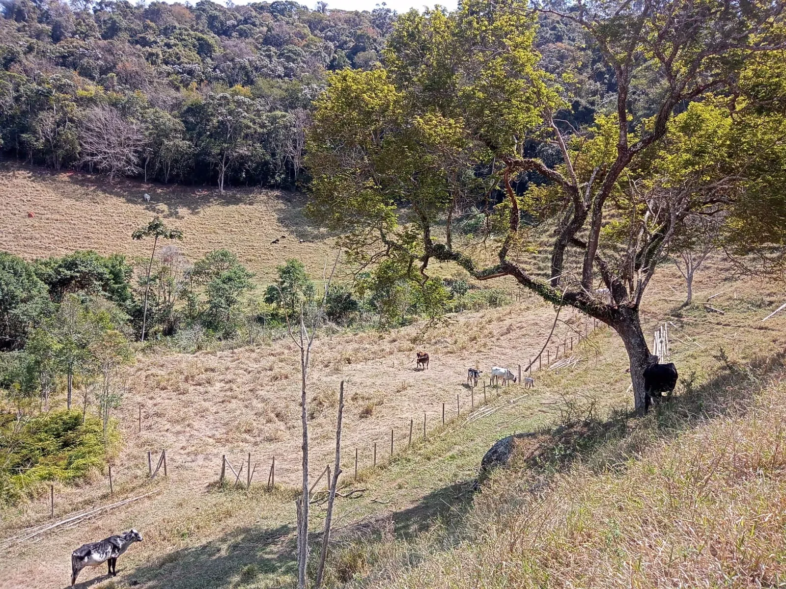 Sítio à venda de 10 ha em Paraibuna, SP, Brasil